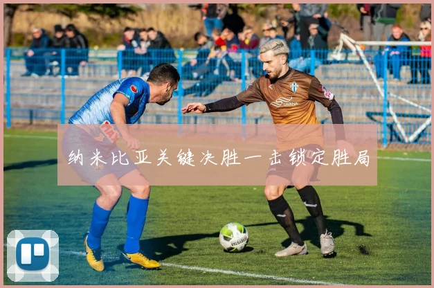 纳米比亚关键决胜一击锁定胜局
