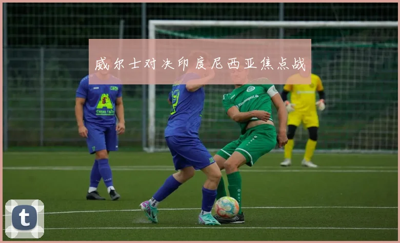 威尔士对决印度尼西亚焦点战