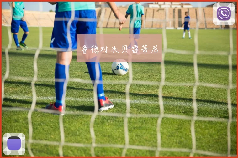 鲁德对决贝雷蒂尼