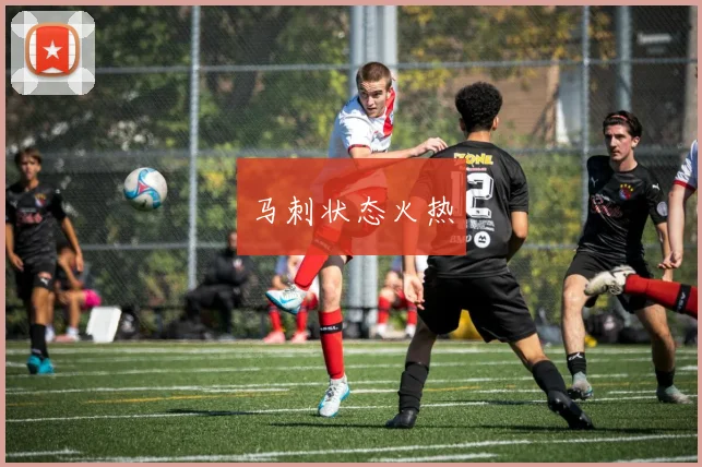 马刺状态火热