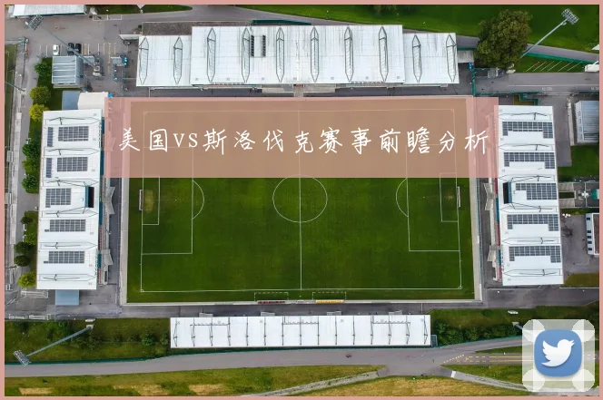 美国vs斯洛伐克赛事前瞻分析