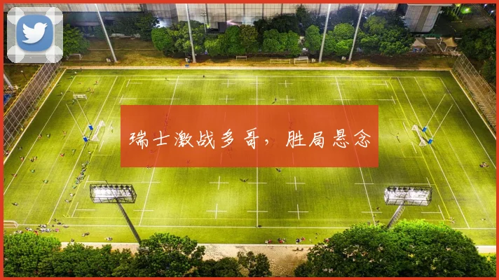 瑞士激战多哥,胜局悬念