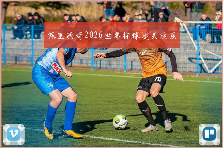 佩里西奇2026世界杯球迷关注度