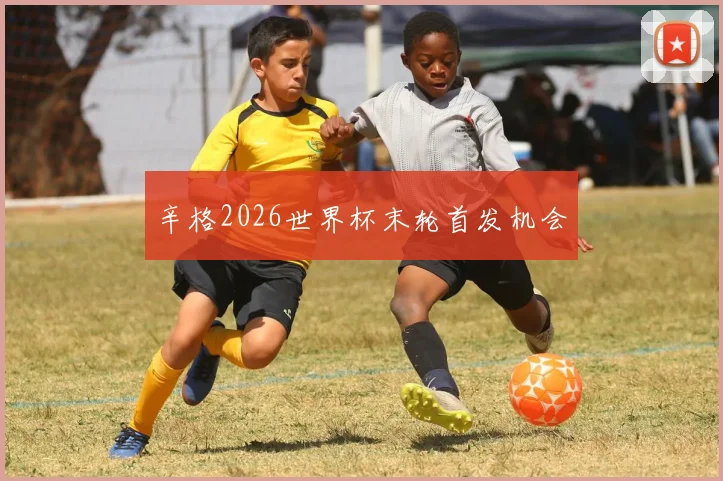 辛格2026世界杯末轮首发机会