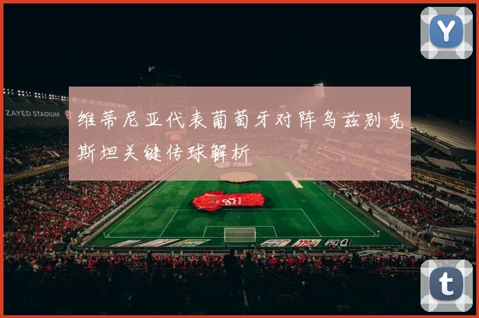 维蒂尼亚代表葡萄牙对阵乌兹别克斯坦关键传球解析