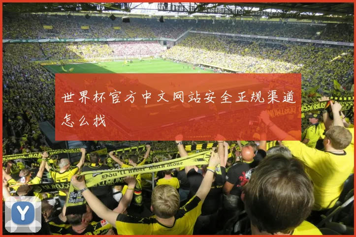 世界杯官方中文网站安全正规渠道怎么找